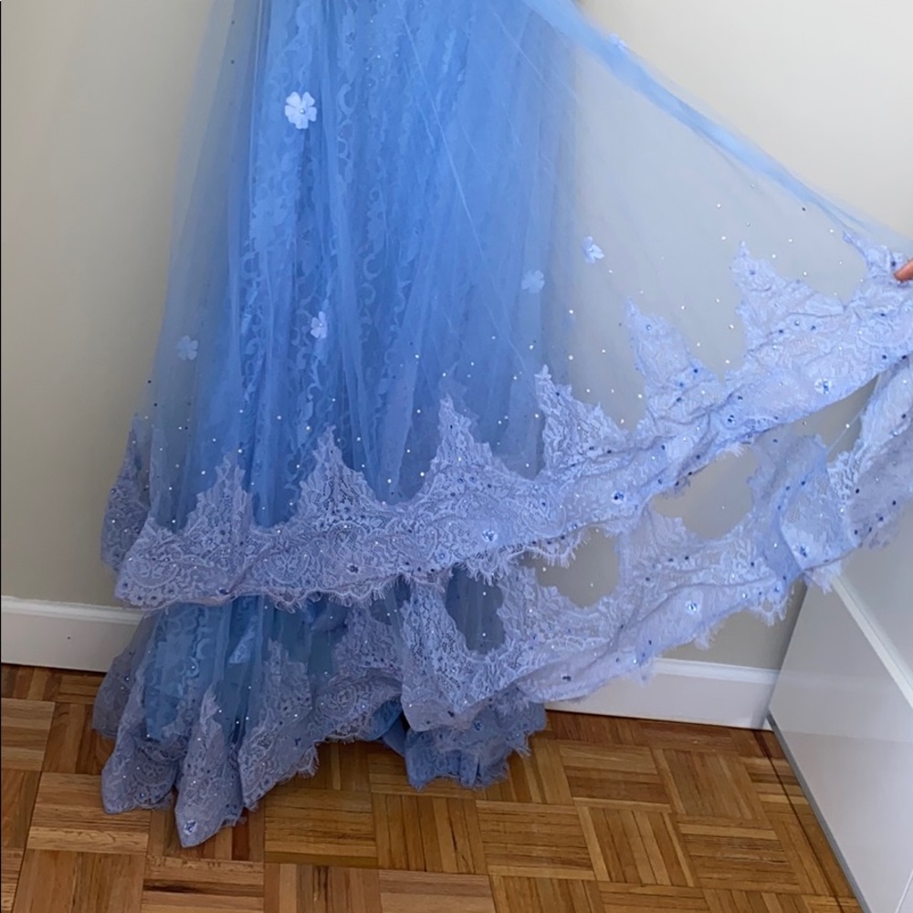 Royal Dream Women’s Wedding And Prom  Net Dress - Picture 6 of 8